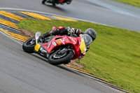 PJ-Motorsport-2019;anglesey-no-limits-trackday;anglesey-photographs;anglesey-trackday-photographs;enduro-digital-images;event-digital-images;eventdigitalimages;no-limits-trackdays;peter-wileman-photography;racing-digital-images;trac-mon;trackday-digital-images;trackday-photos;ty-croes